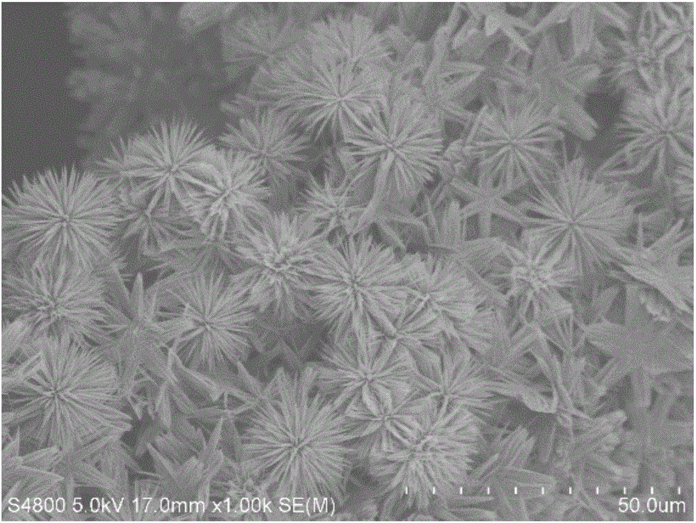 Cobaltosic oxide @ sulfur cobalt acid nickel core shell nanoflower array, manufacturing method and application thereof