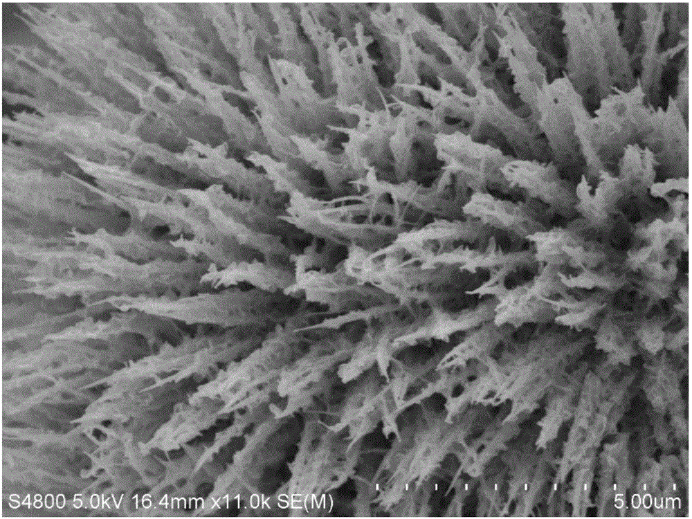 Cobaltosic oxide @ sulfur cobalt acid nickel core shell nanoflower array, manufacturing method and application thereof