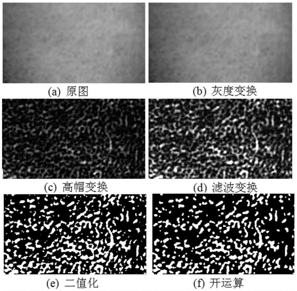 Reelable method for representing behavior uniformity of droplet clusters in direct contact vapor generator