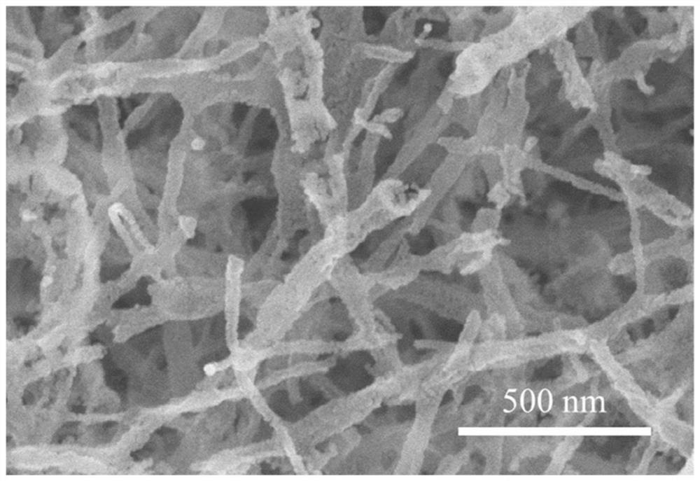 One-dimensional metal oxide/carbide composite material and preparation method thereof