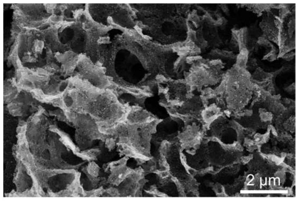 Preparation method of nitrogen and phosphorus co-doped foamed carbon nanosheet loaded NiCo nanoparticle composite material, product and application thereof