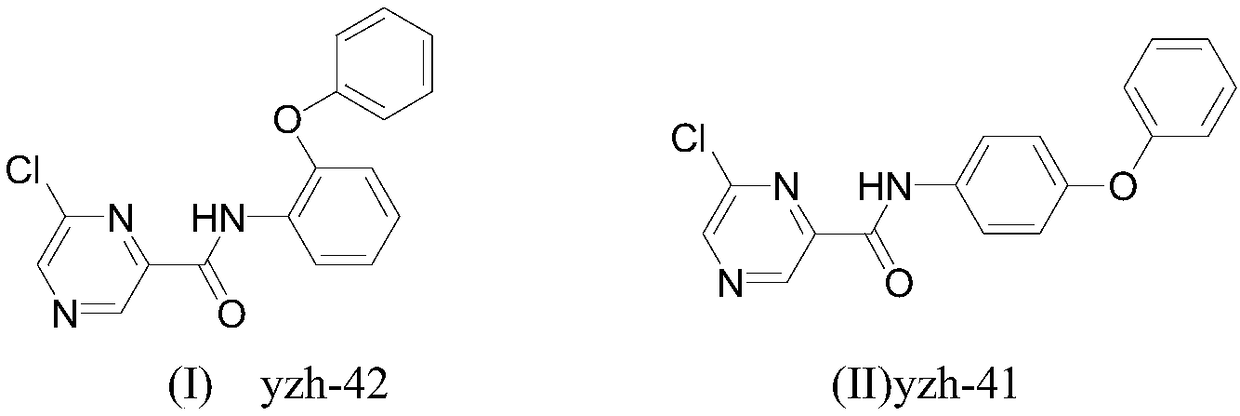 Preparation method and application of 6-chloropyrazine-2-amide compounds containing diphenyl ether groups