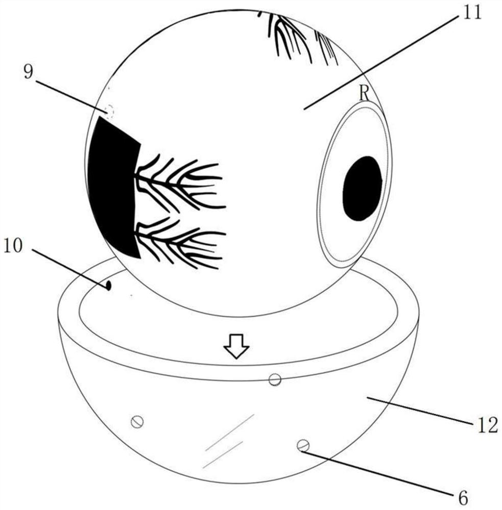 Teaching appliance capable of assisting in memorizing extraocular muscle function