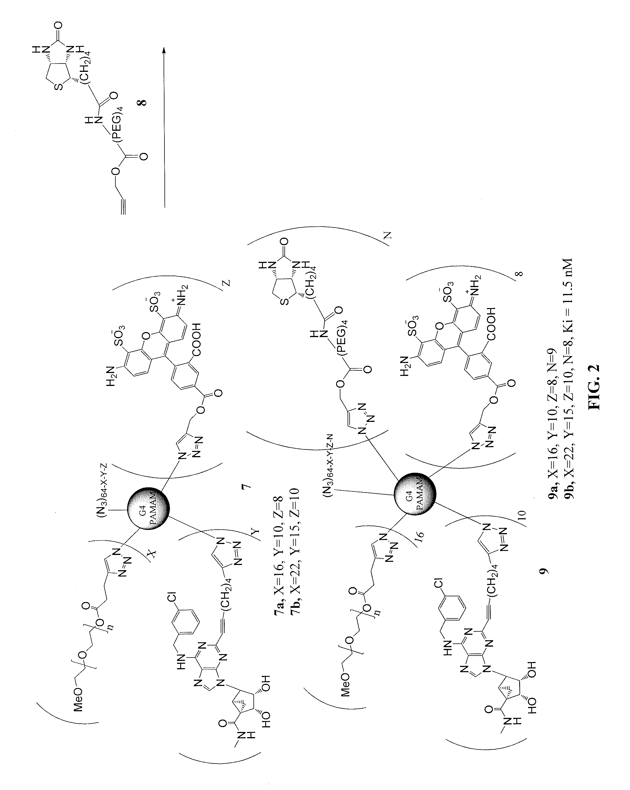 Methanocarba adenosine derivatives, pharmaceutical compositions, and method of reducing intraocular pressure