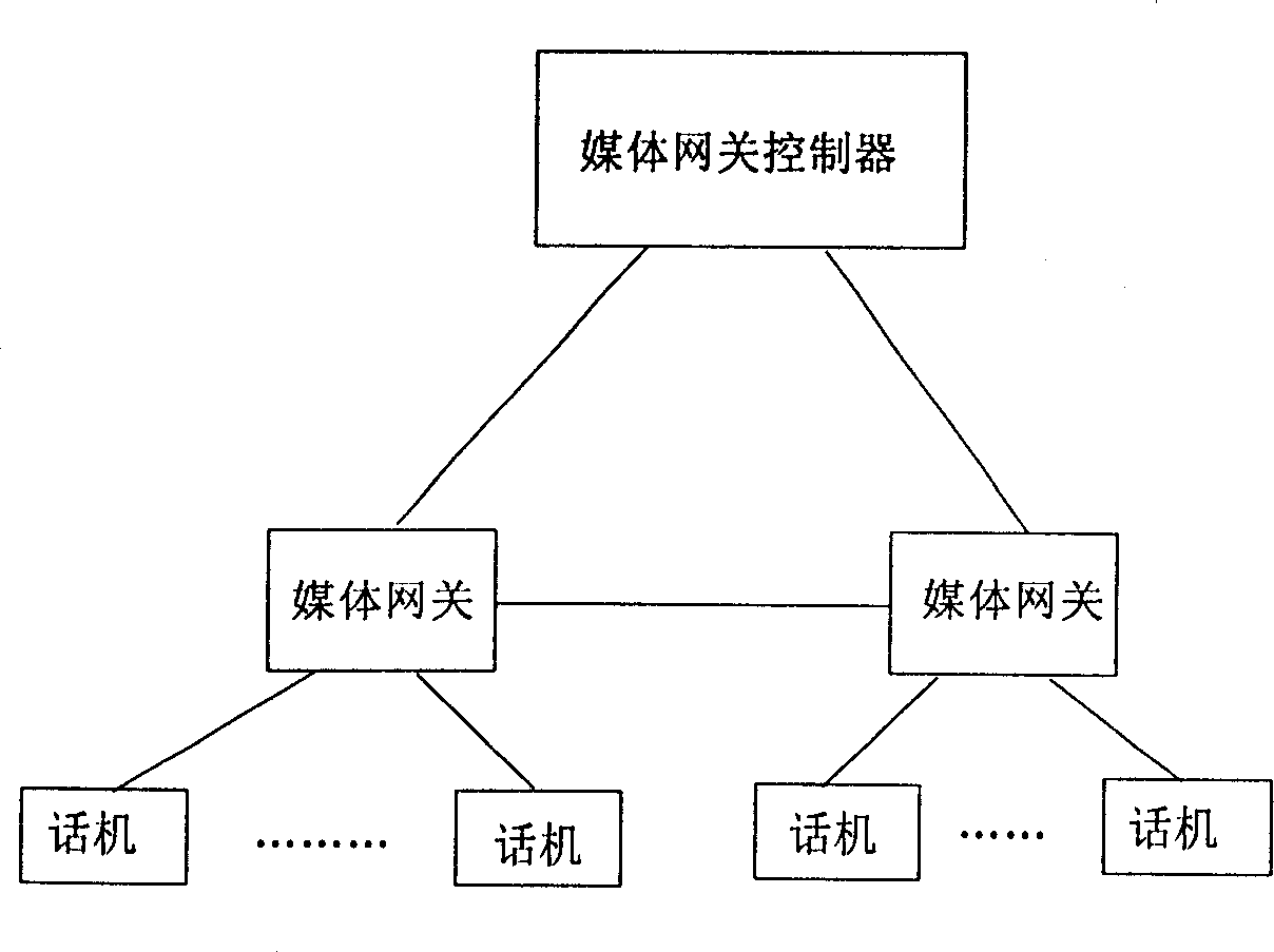 Network system and method for processing VOIP business based on media net-link control protocol