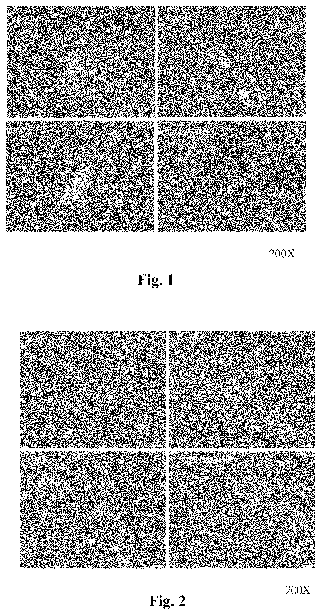 Herbal compound extract to moderate diabetes with liver necrosis and fibrosis and use thereof