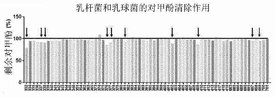 Lactobacillus acidophilus KBL409 strain and application thereof