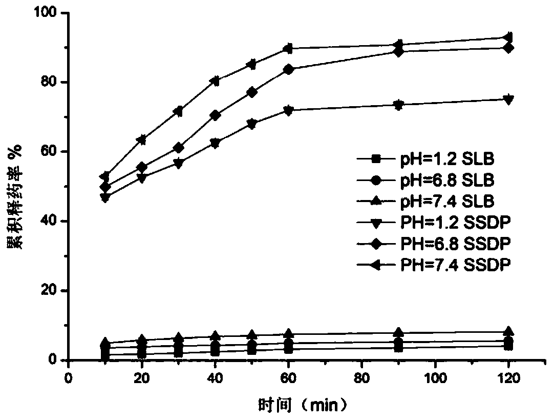 Silibinin slow release micropill with double layers of coatings and preparation method of silibinin slow release micropill