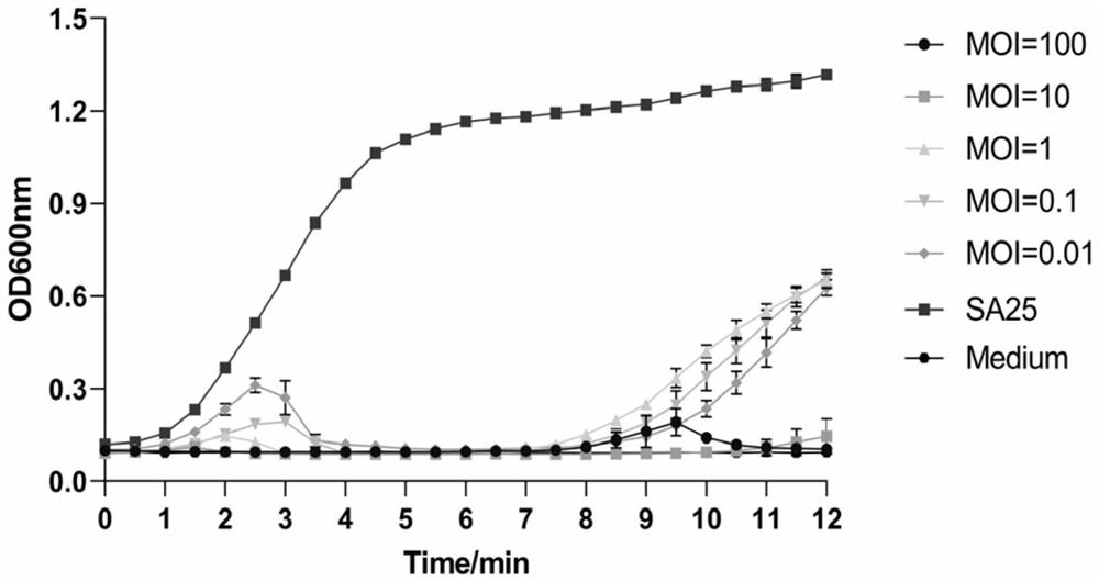 Mutant staphylococcus aureus phage and application thereof