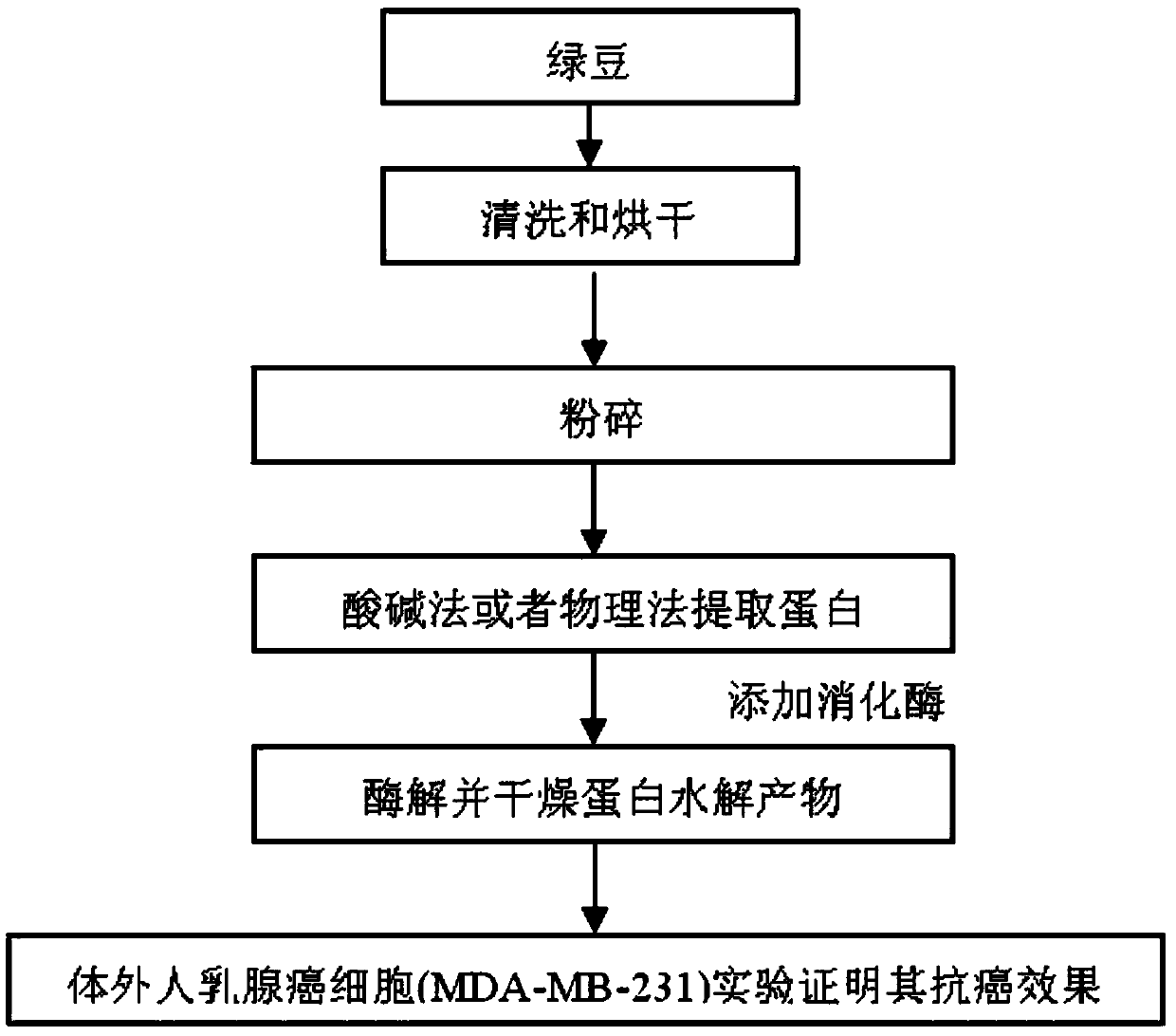 Preparation method and application of mung bean polypeptide having anticancer activity