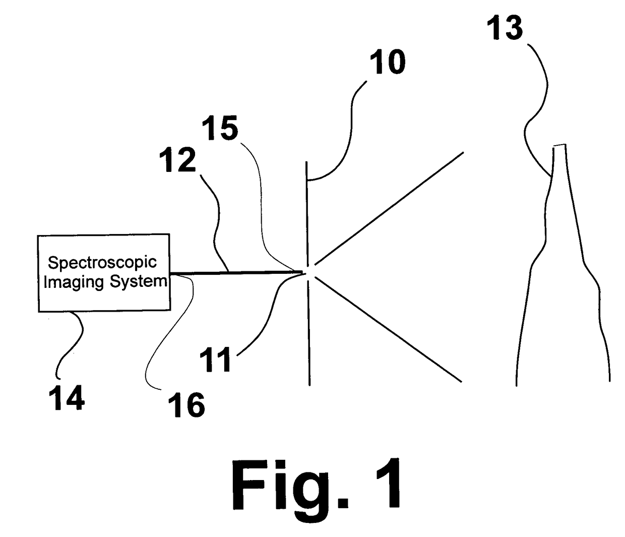 Fiber optic spectroscopic digital imaging sensor and method for flame properties monitoring