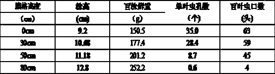 Method for preventing pakchoi from attacks by cabbage caterpillars