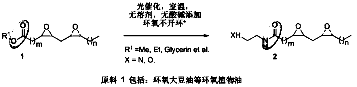 Method for photocatalytic selective ester aminolysis of epoxy grease