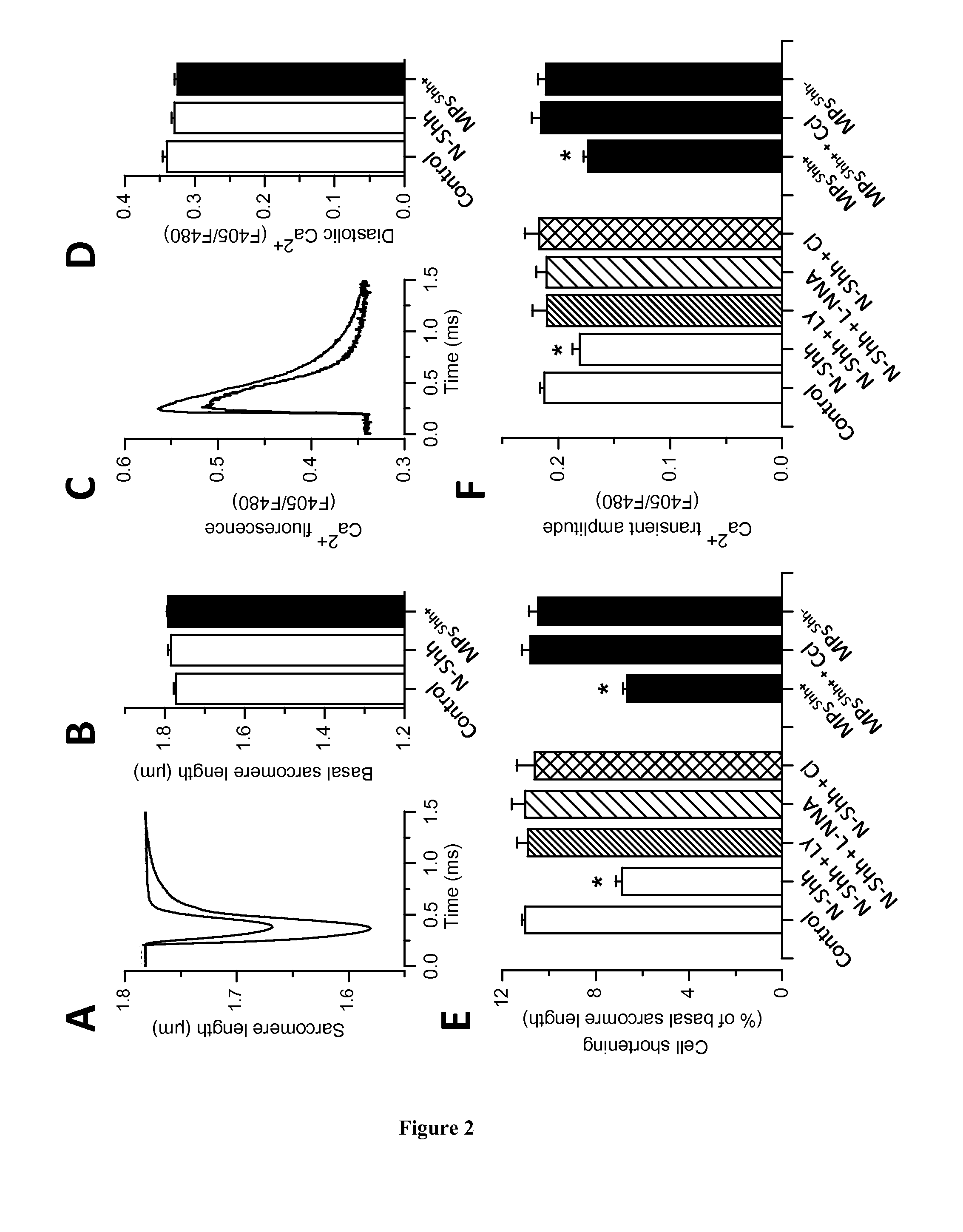 Methods and pharmaceutical compositions for the cardioprotection