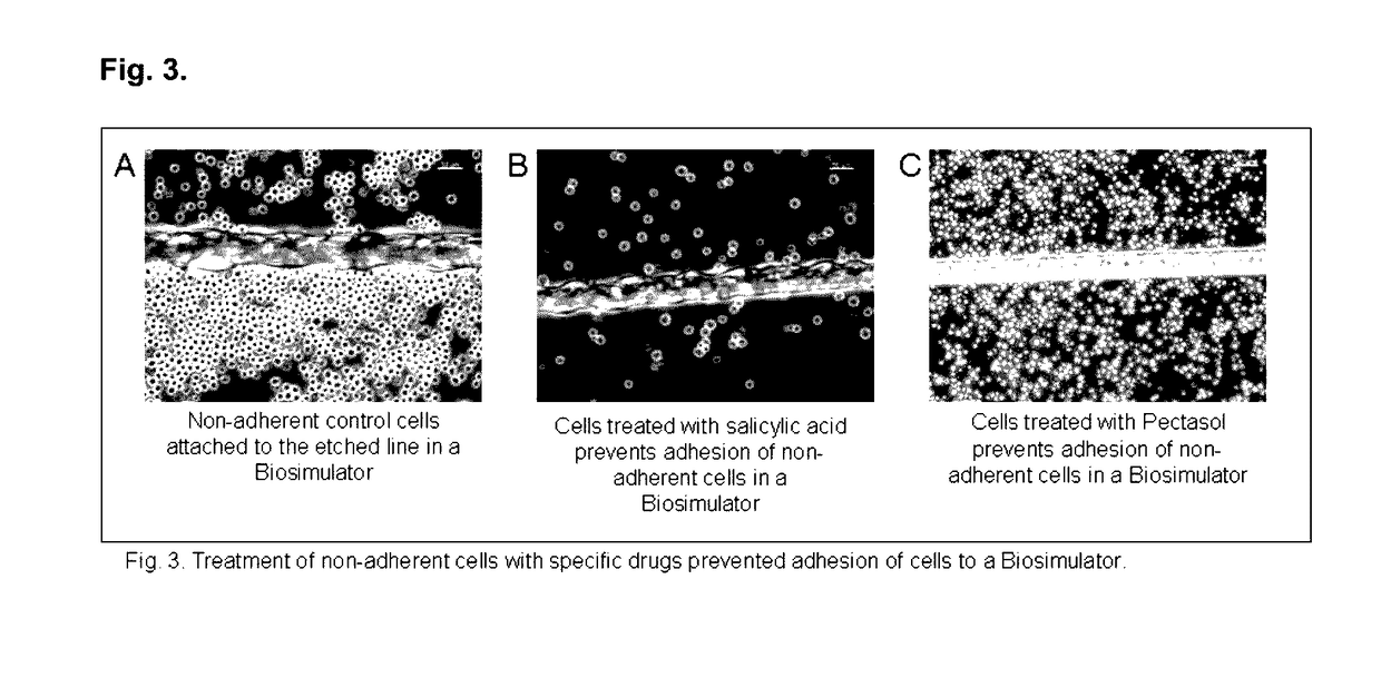 In vitro biosimulator to induce pattern formation in non-adherent cells