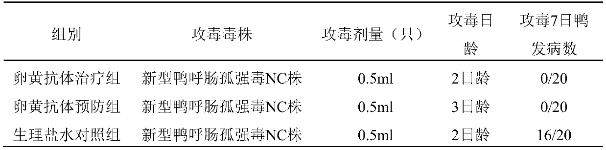 Novel duck reovirus compound vaccine and preparation method of egg yolk antibody