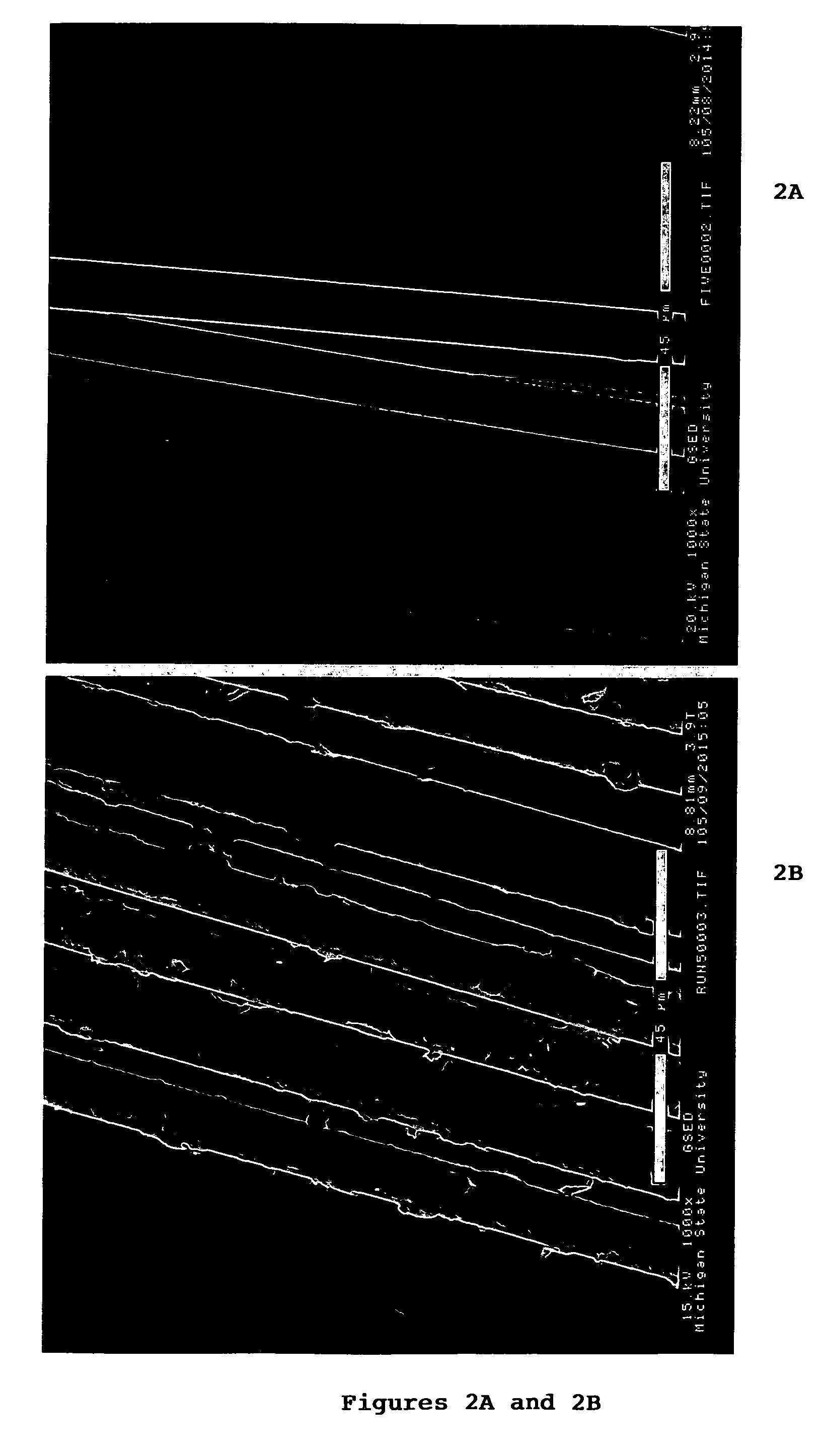 Reinforced composite with a tow of fibers and process for the preparation thereof