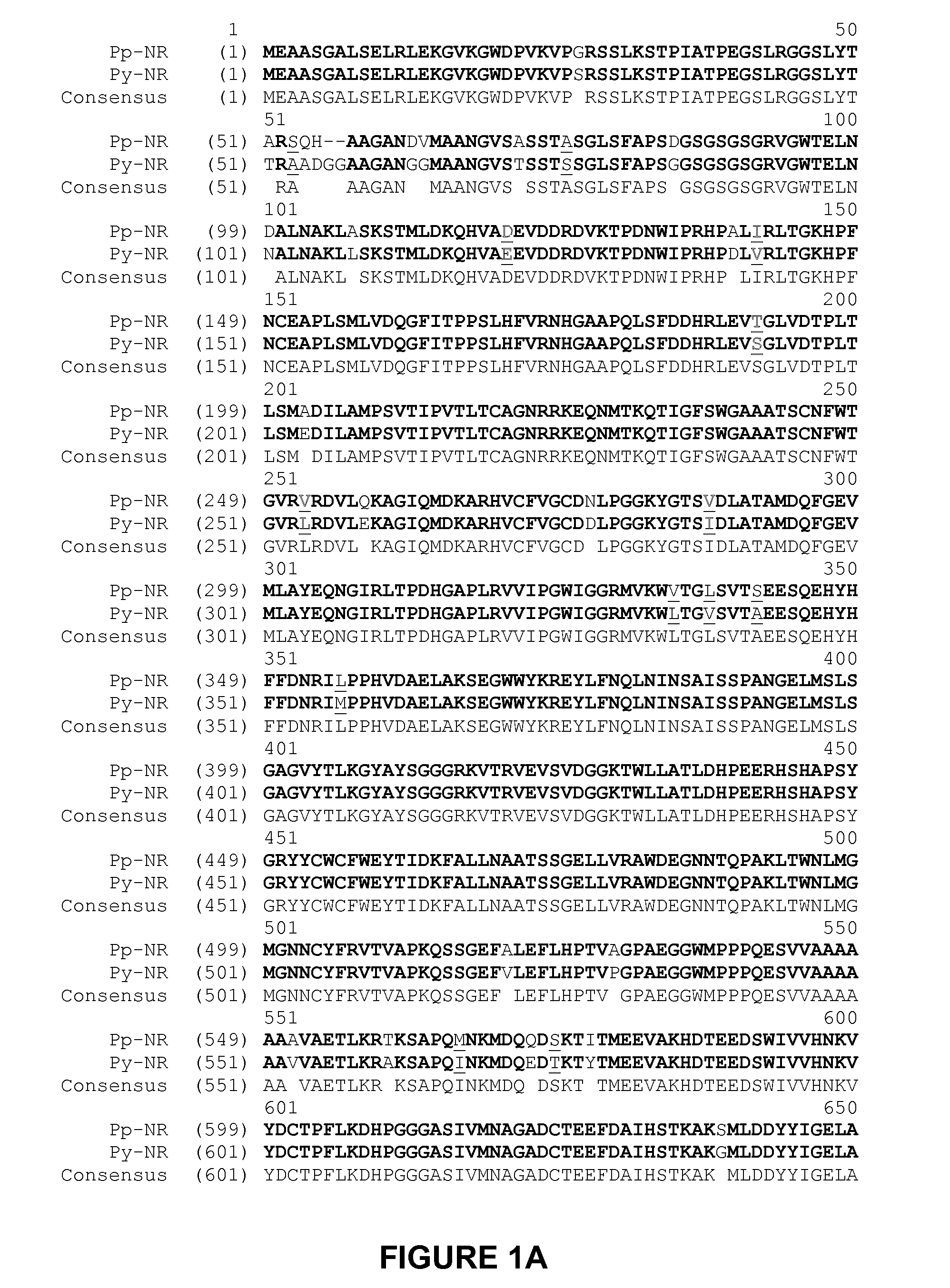 Nitrate reductases from red algae, compositions and methods of use thereof