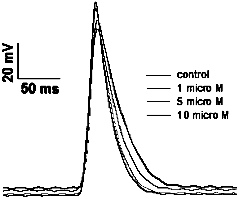 Insect repellent tetramisole capable of serving as novel antiarrhythmic drug