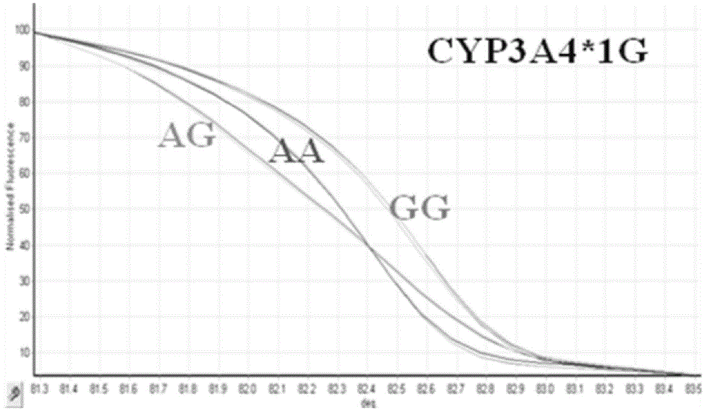 HRM method for detecting genetic polymorphism of CYP3A4*1G and MDR1C1236T