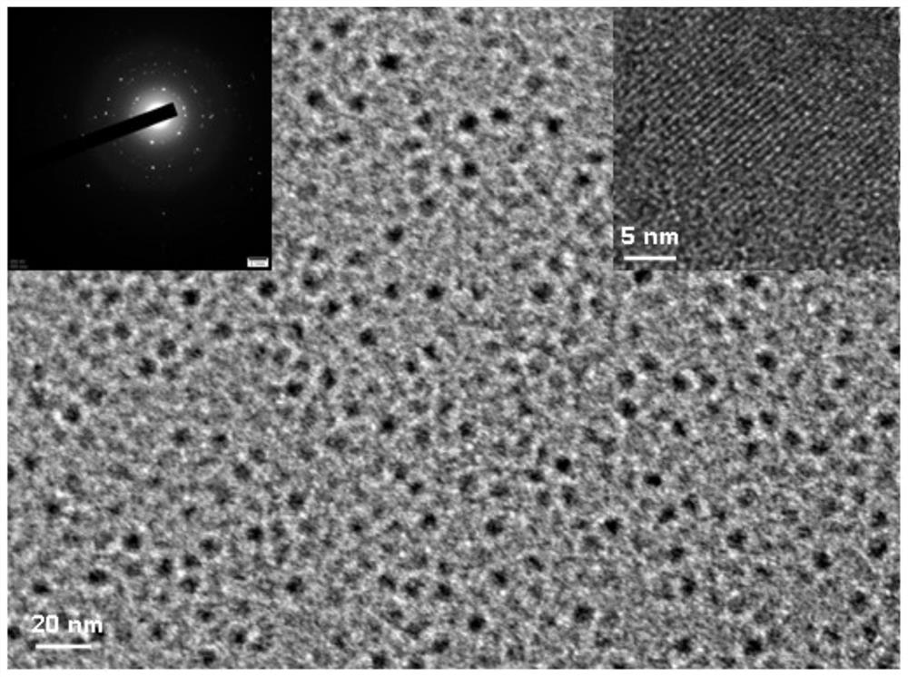 Colloidal silicon nanocrystal with high fluorescence quantum yield as well as preparation method and application of colloidal silicon nanocrystal