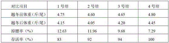 Feed for overwintering domestication of grass carp and preparation method thereof and grass carp overwintering culture method