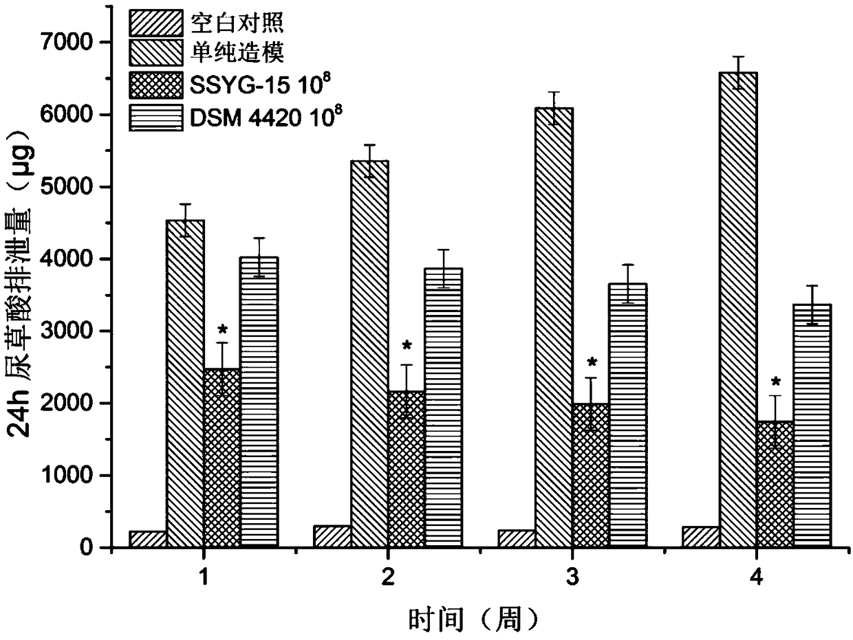 Oxalobacter formigenes and application thereof