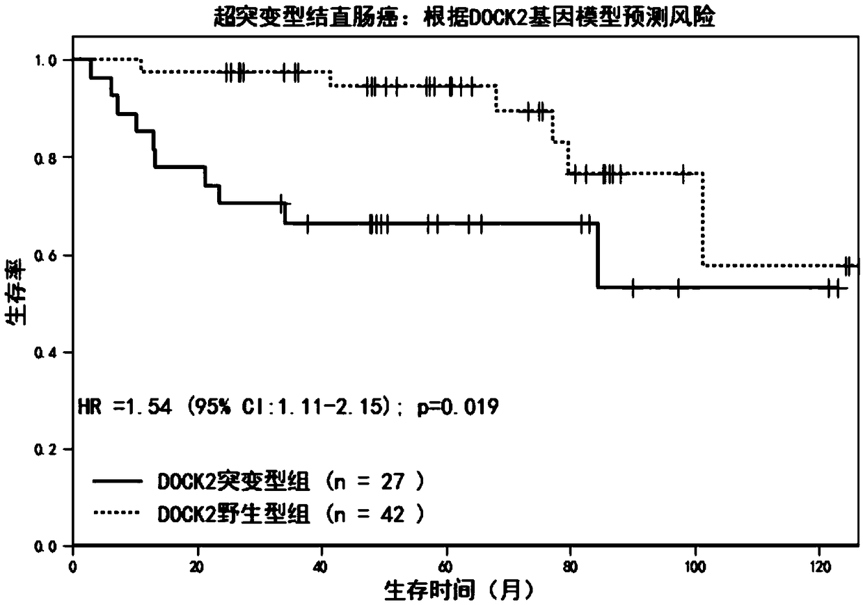 Super-mutant type tumor molecule subtype gene and application thereof