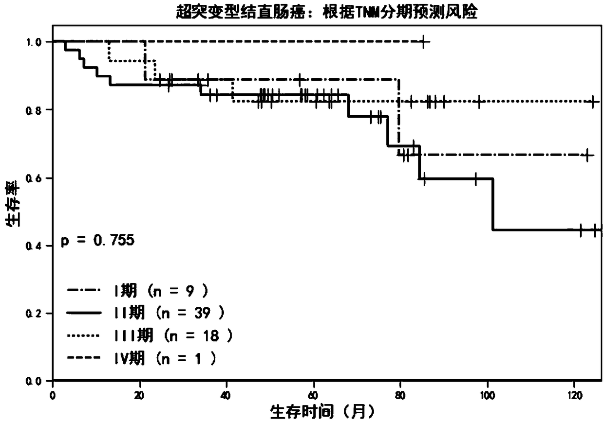 Super-mutant type tumor molecule subtype gene and application thereof