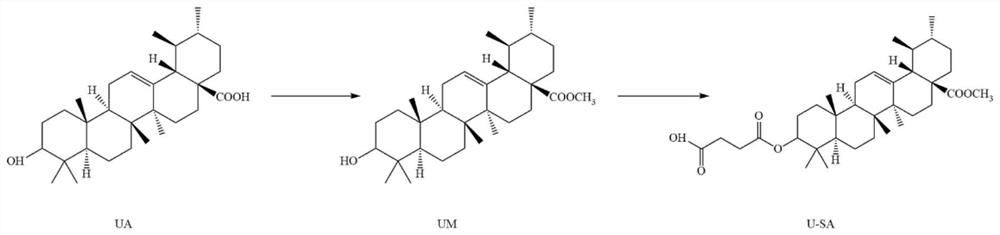 Quadrivalent platinum anticancer complex containing ursolic acid ligand derived from cisplatin and its preparation method and application