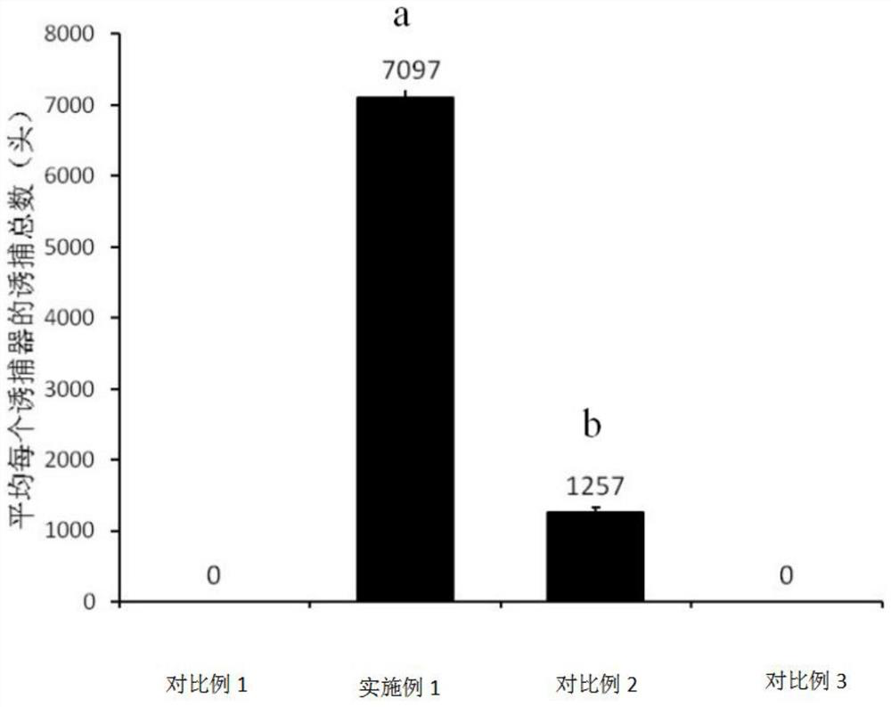 The application, attractant, lure and application of s-(-)-Brutenol in attracting the bark beetle in Tianshan Mountains