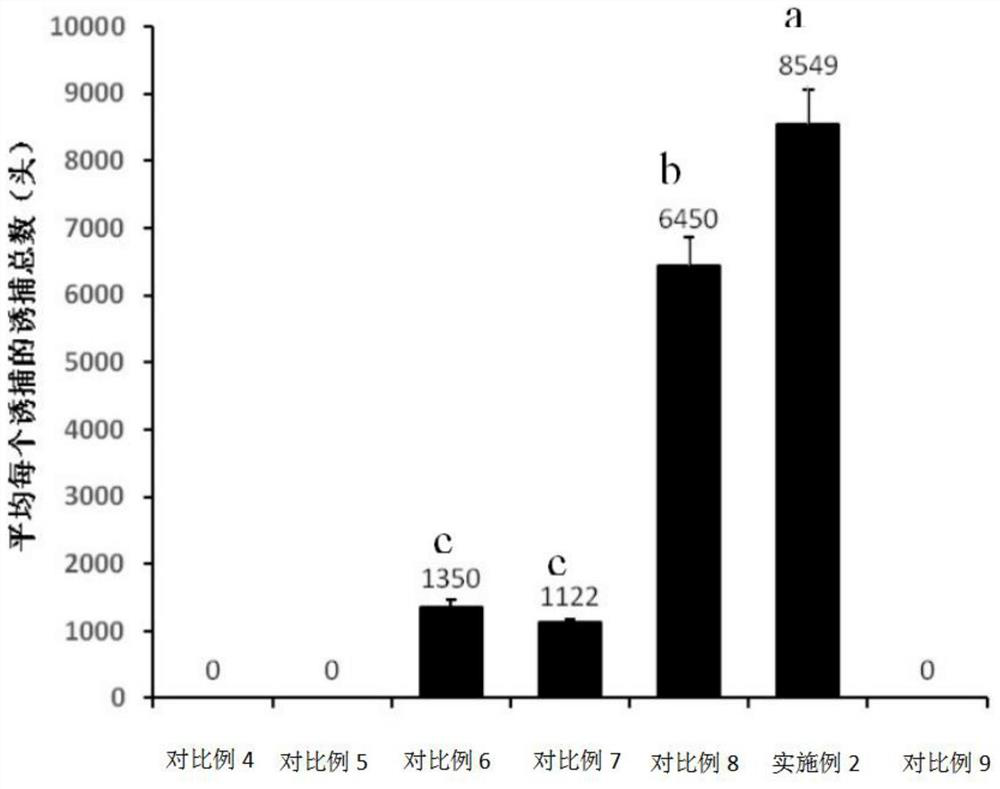 The application, attractant, lure and application of s-(-)-Brutenol in attracting the bark beetle in Tianshan Mountains