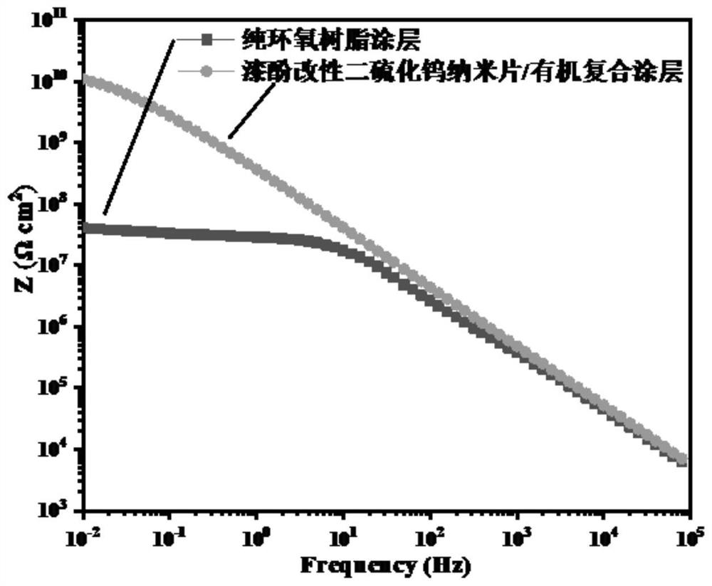 Nanosheet composite coating as well as preparation method and application thereof