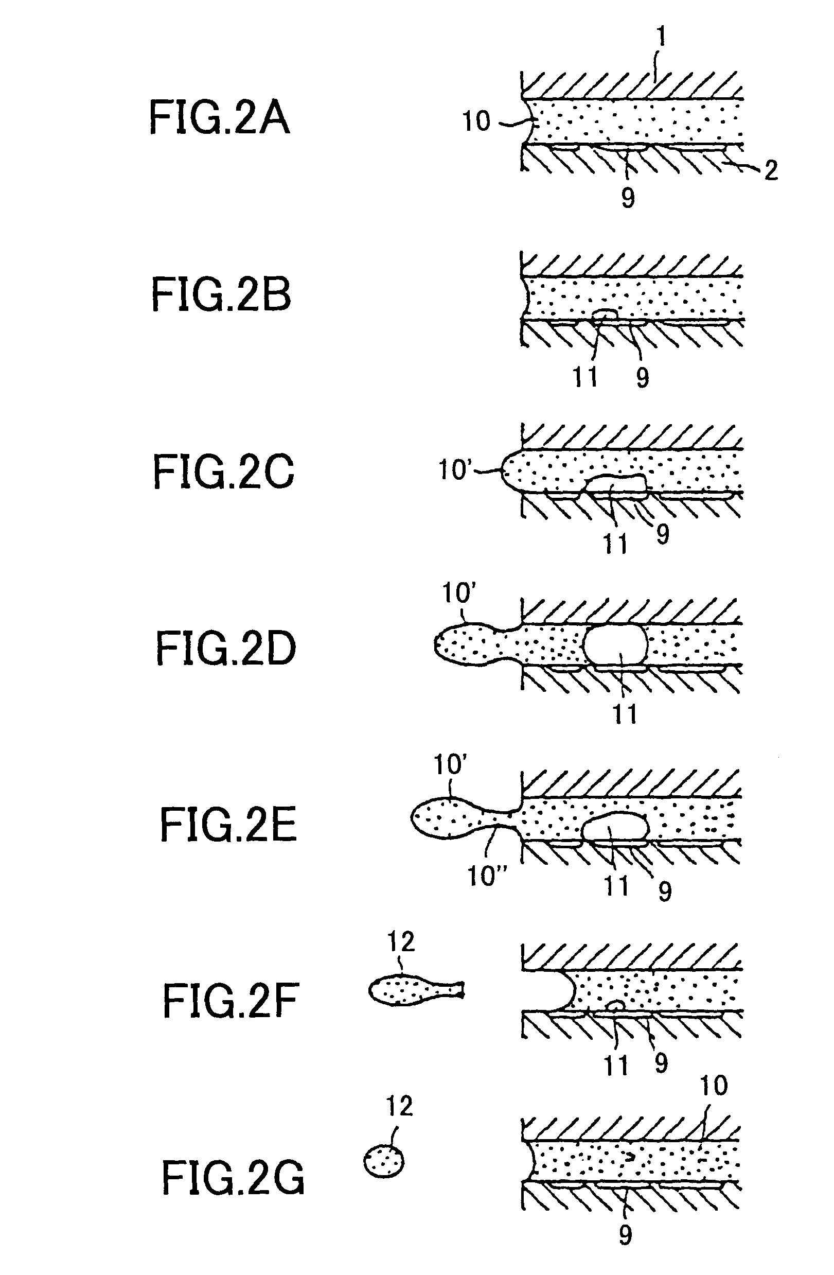 Liquid jet recording apparatus, liquid jet head, and recording liquid