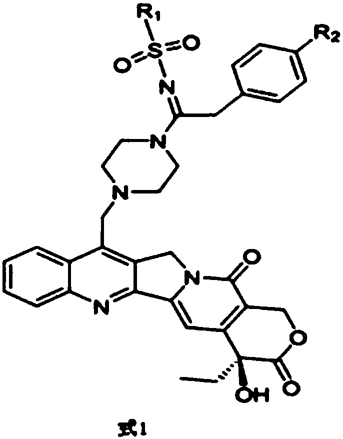 Camptothecin sulfonyl amidine compound and preparation method and use thereof