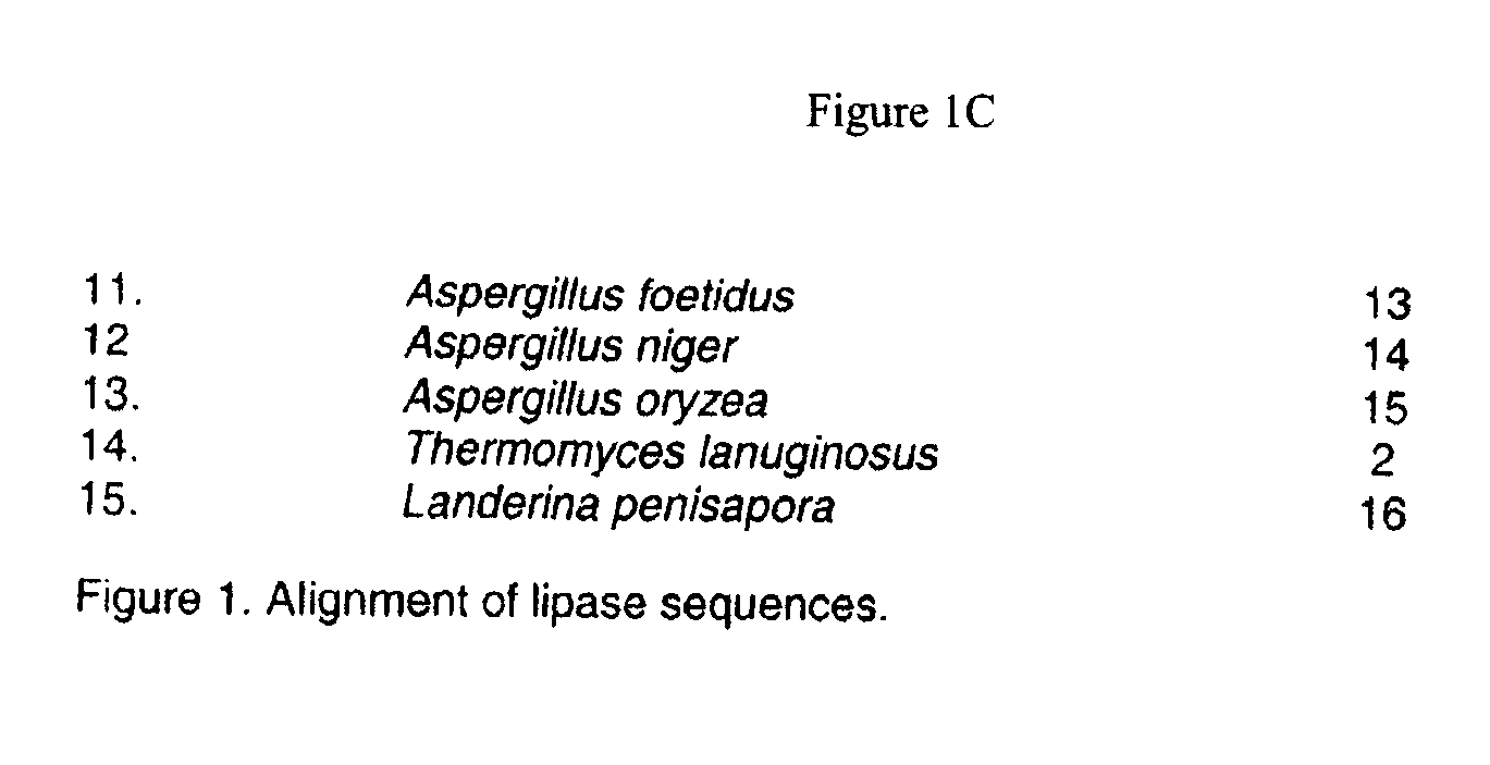 Detergent compositions