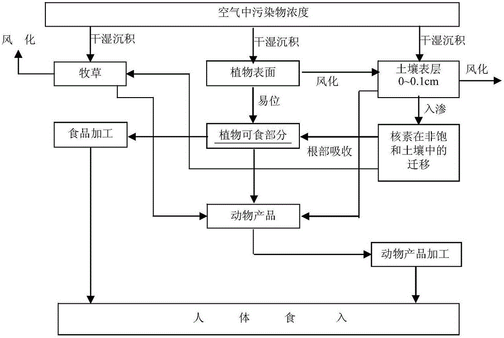 Airborne food chain radioactive activity estimation method applied to nuclear accident consequence assessment