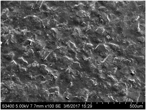 Single part used for fuel cell and preparation method for single part