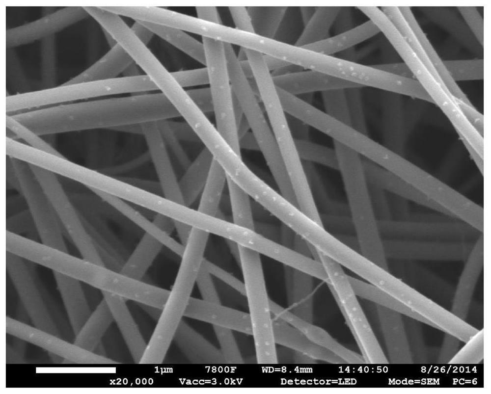 A kind of carbon nanofiber and metal composite electrode and its application