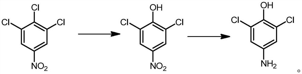 Synthesis method of 2, 6-dichloro-4-aminophenol