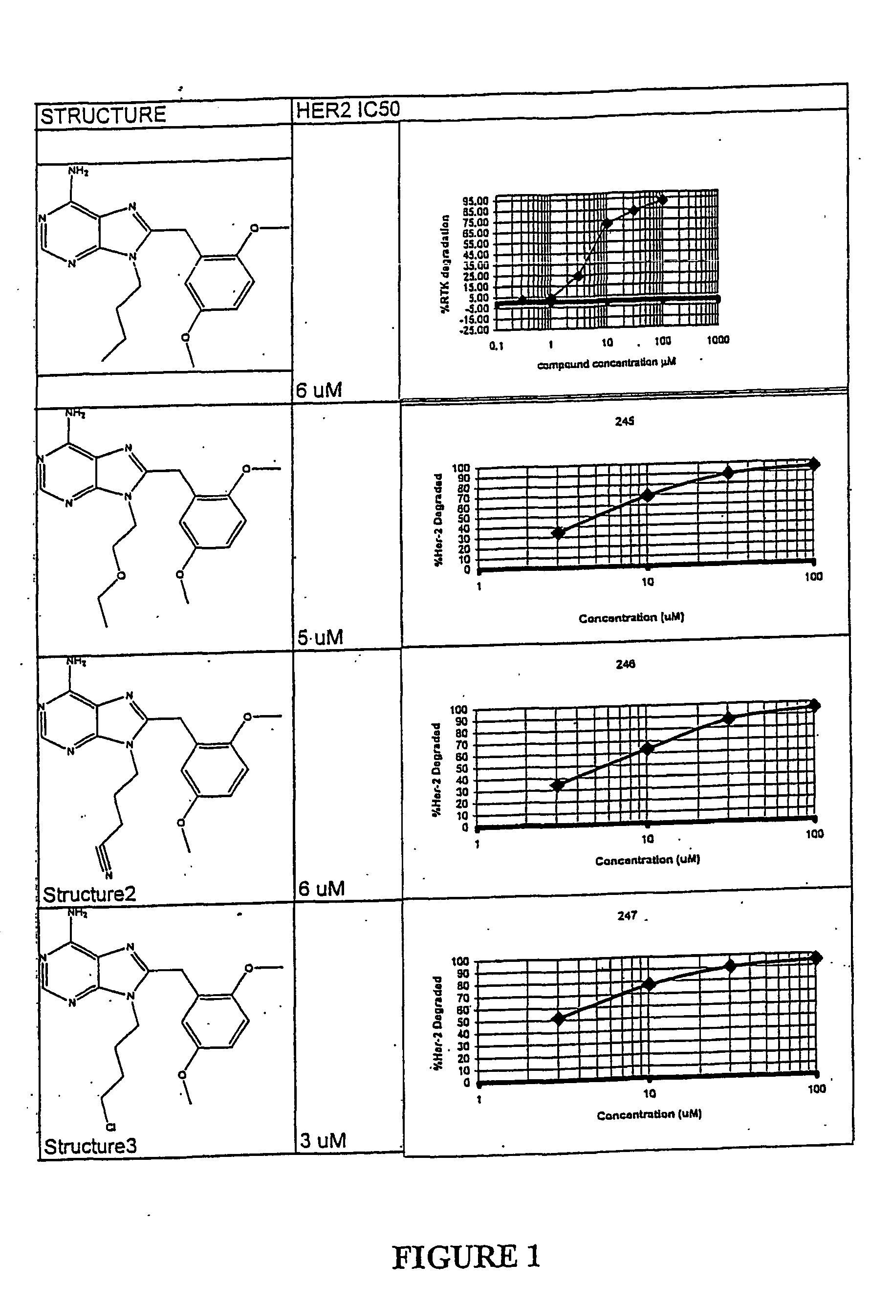 Purine analogs having hsp90-inhibiting activity