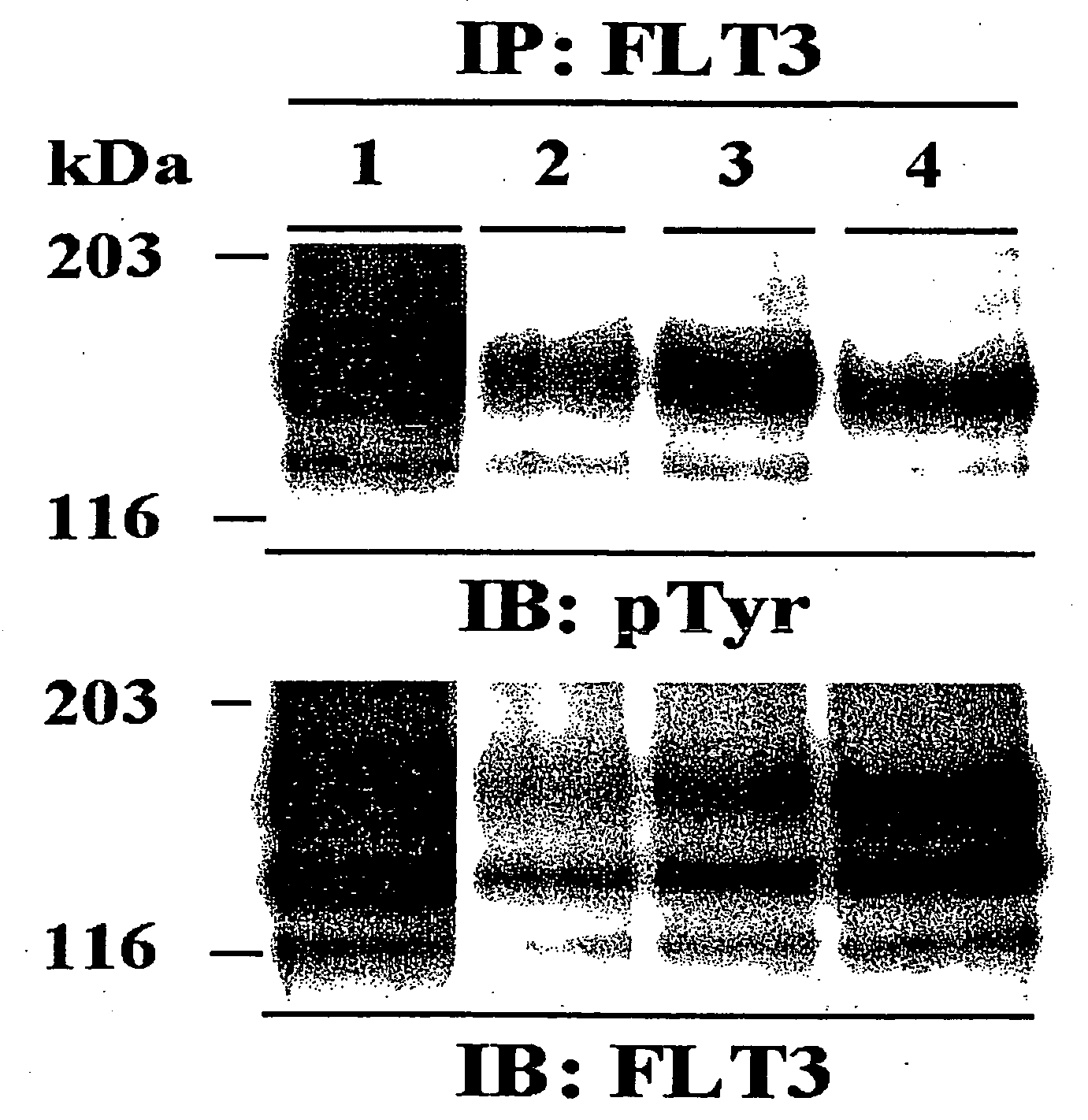 Method for screening candidate compounds for antitumor drug