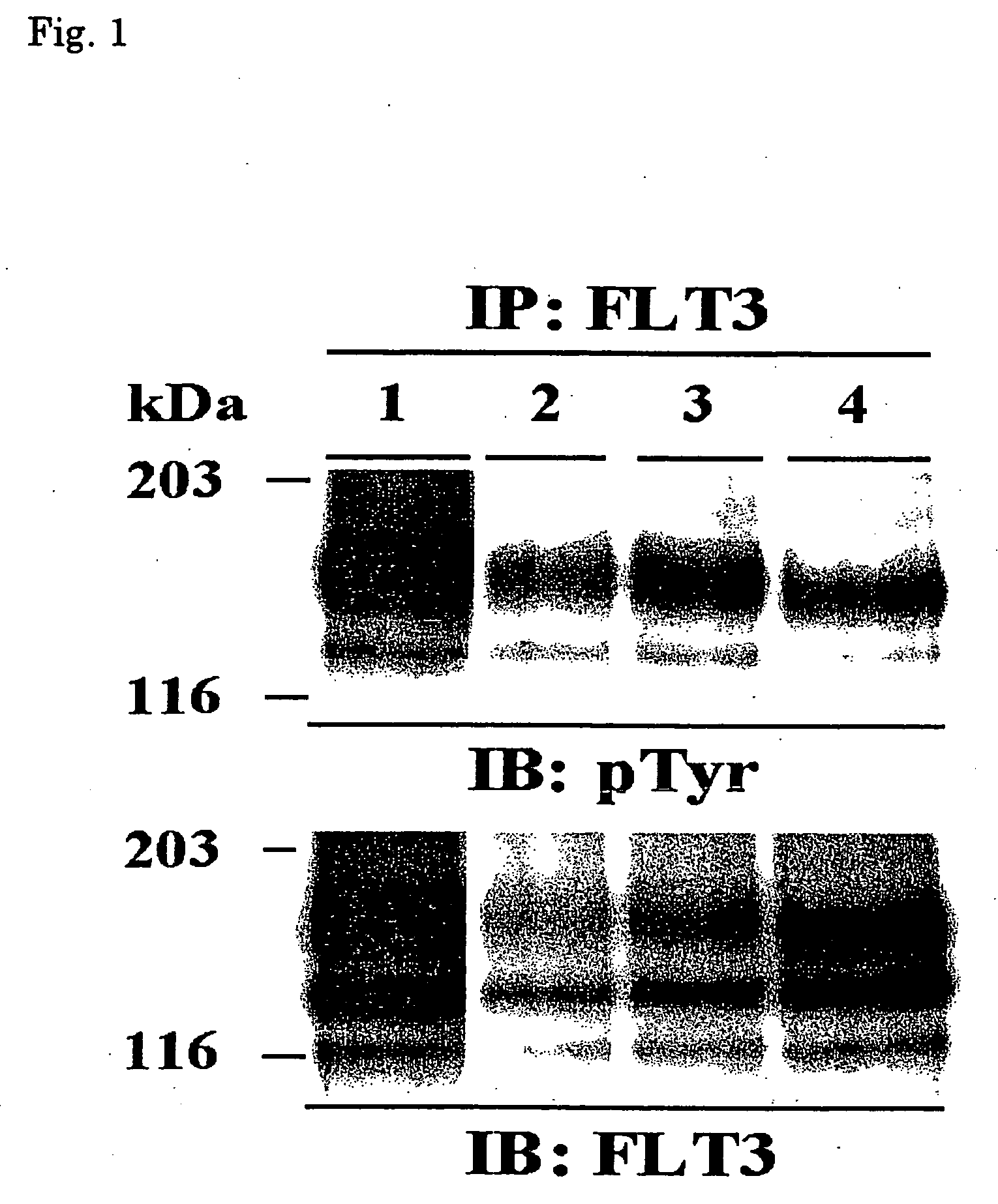 Method for screening candidate compounds for antitumor drug