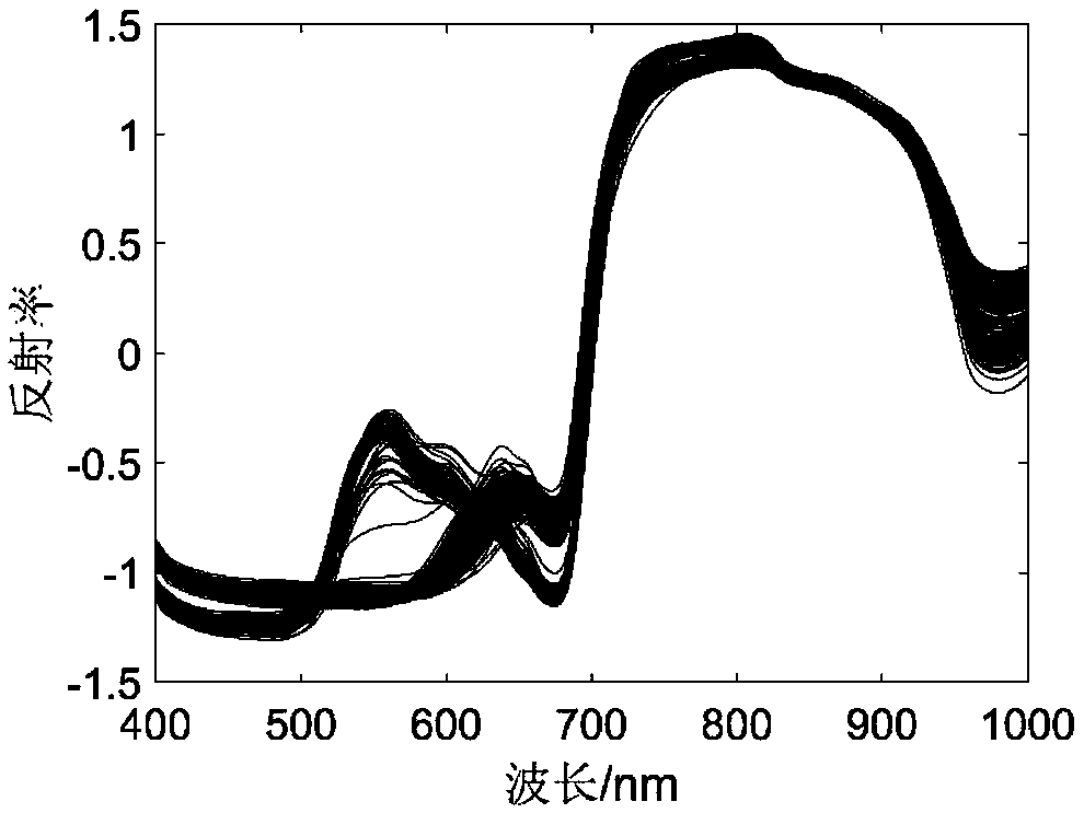 Non-destructive testing method for plum hardness based on visible/near-infrared spectroscopy