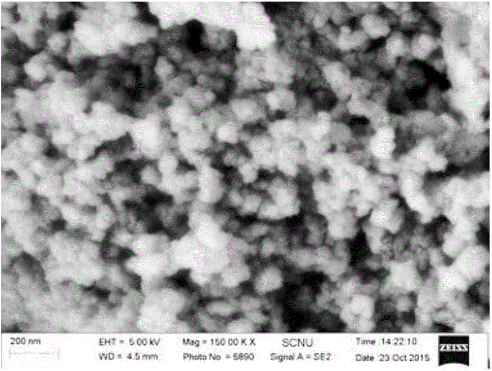 Method for green synthesis of nanoscale zero-valent iron through water hyacinth extraction liquid and application