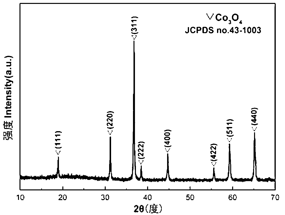 Cobaltosic oxide nanowire array based alcohol gas sensor and preparation method thereof