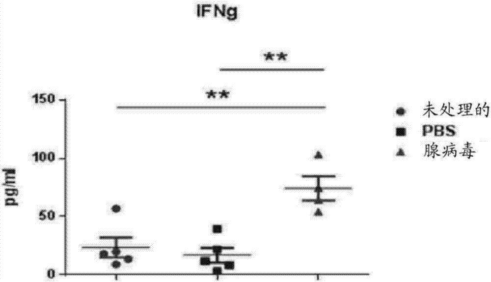 Oncolytic adenoviruses coding for bi-specific antibodies and methods and uses related thereto