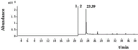 Method for measuring residual quantity of chlorantraniliprole in fruit and vegetable