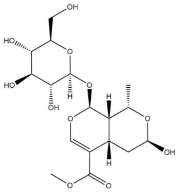 Application of combination of morroniside and stem cells to preparation of cartilage repair materials