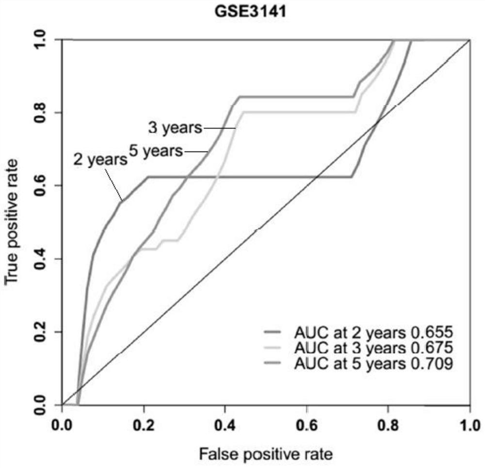 Gene markers, evaluation methods and applications for stratified evaluation of tumor prognosis